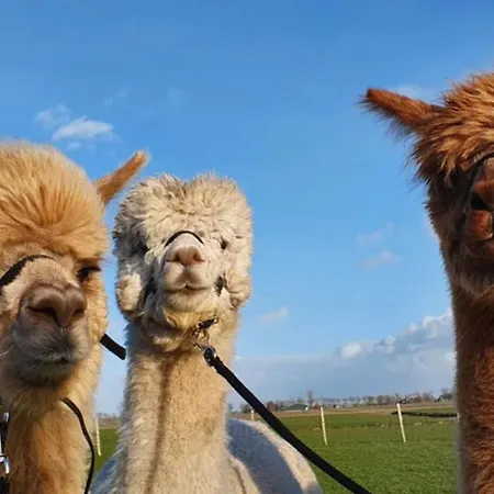 Apartmán Vakantieboerderij Huize Nuis Noordbeemster