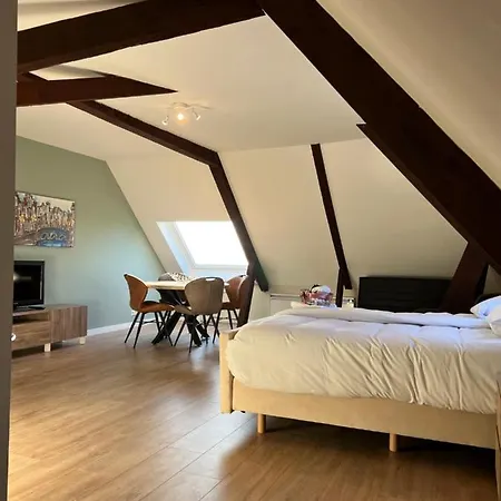 Vakantieboerderij Huize Nuis Apartmán *
