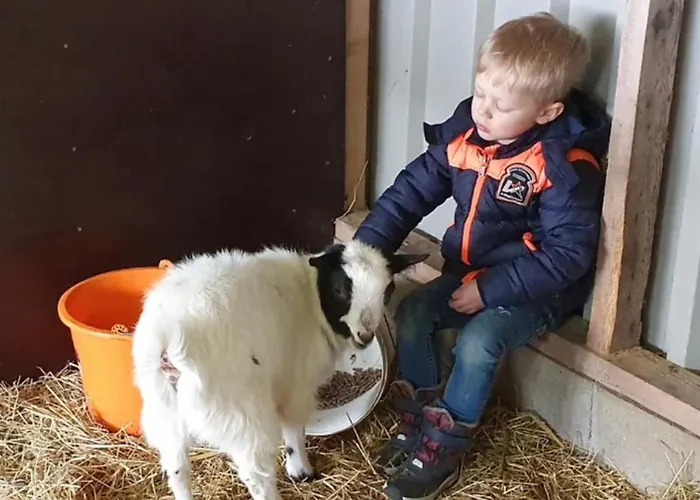 Vakantieboerderij Huize Nuis Appartement *