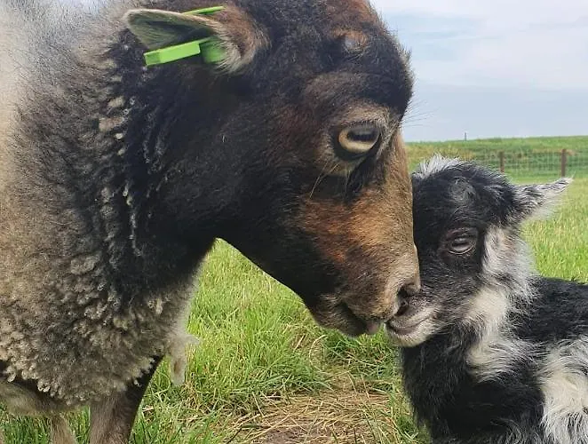 Vakantieboerderij Huize Nuis * Noordbeemster