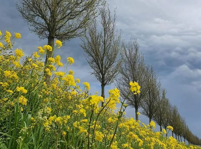 Vakantieboerderij Huize Nuis *