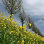 Vakantieboerderij Huize Nuis *
